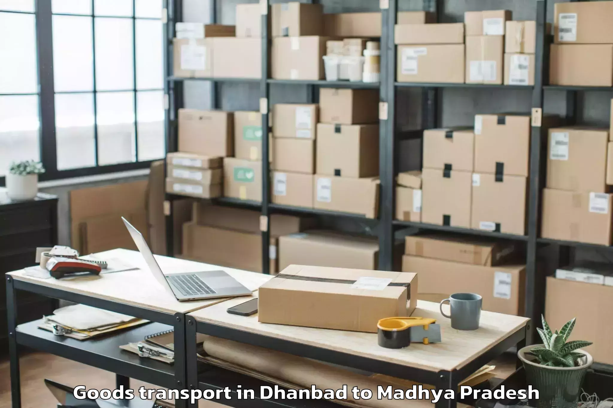 Book Your Dhanbad to Gh Raisoni University Saikheda Goods Transport Today